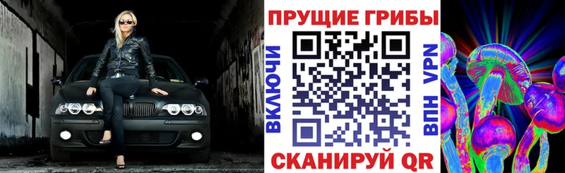 Псилоцибиновые грибы мухоморы  Ахтырский 